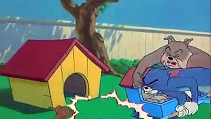 Tom and Jerry Videos | Tom and Jerry funny videos | TomandJerry Show | Tom and Jeery Cartoon Video