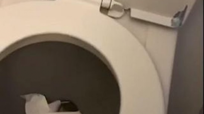 Girl's Plan to Flush Entire Toilet Paper Roll in Airplane Toilet Goes Wrong
