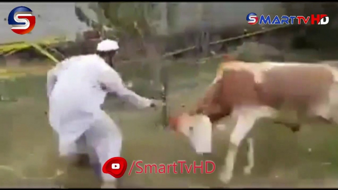 Angry Bull Qurbani 2020 | Eid Ul Azha 2020 |Best Funny Qurbani | Eid UL AZHA funny Moments | Eid UL Azha 1st day | Bakra Eid 2020 | Smart Tv HD