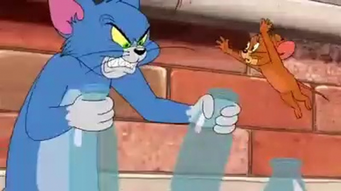 Tom and Jerry Videos | Tom and Jerry funny videos | TomandJerry Show | Tom and Jeery Cartoon Video