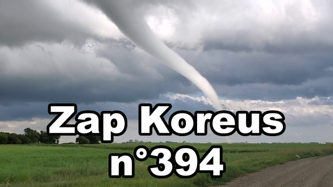 Zap Koreus N°394