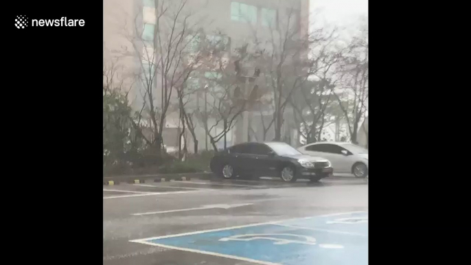 Typhoon Haishen brings strong winds and heavy rain to Busan, South Korea