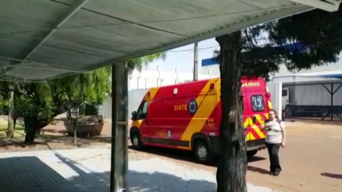 Homem sofre queda durante poda de árvore no Parque São Paulo