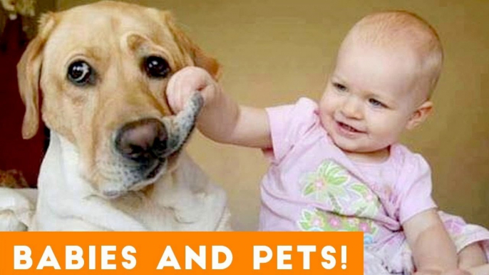 Most Adorable Animal and Baby Compilation 2018 _ Funny Pet Videos