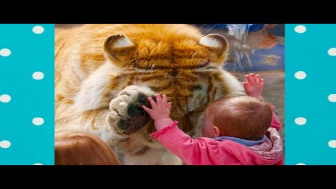 Cute Babies Cuddling Animals