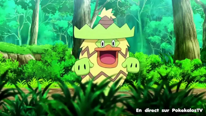 Pokemon sword and shield Episode 40 English Subbed Preview ( 720 X 1280 ) | Pokemon 2019, Pokemon Journeys