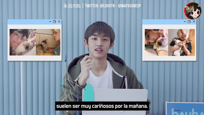 [SUB ESP] [WayV-ariety] ¡El MBTI de WINWIN! (Test de Personalidad) | WINformación Ep.2