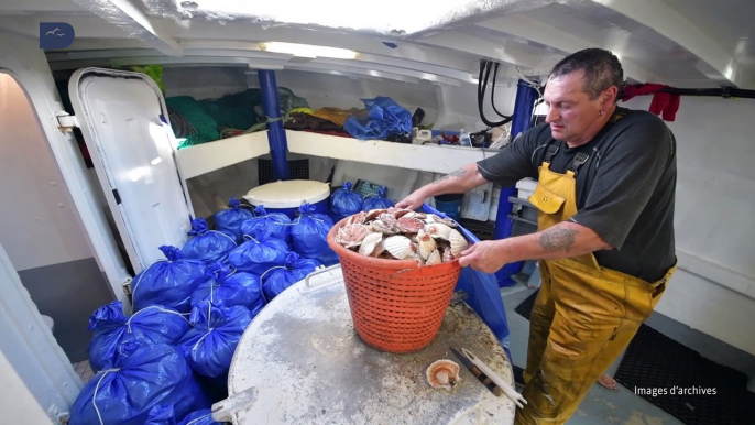 #coquillesaintjacques / Les marins pêcheurs préparent leurs bateaux