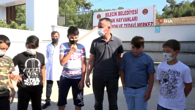 Sokak Hayvanları Tedavi ve Rehabilitasyon Merkezine ziyaretçi akını