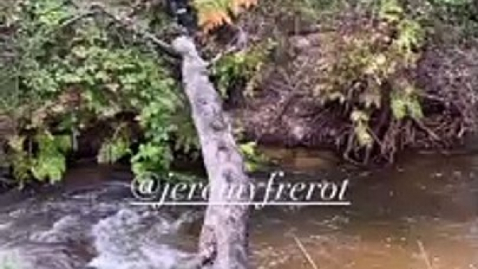 Laure Manaudou partage une vidéo de Jérémy Frérot le 16 octobre 2020 sur Instagram.