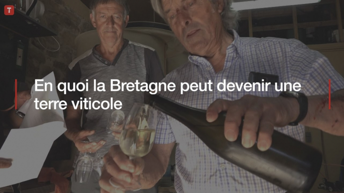 En quoi la Bretagne peut devenir une terre viticole