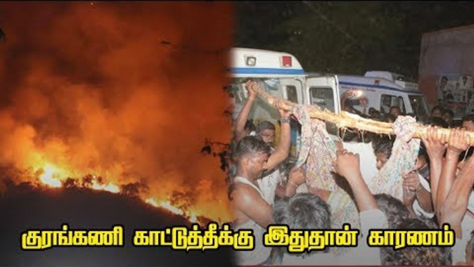 Kurangani Forest Fire : Reason behind the forest fire ?