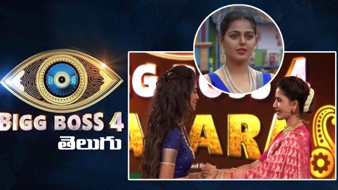 Bigg Boss Telugu 4 : Divi Elimination For Monal, దివి లేకుండా బిగ్‌బాస్ చూడలేను అంటూ నెటిజన్లు!!