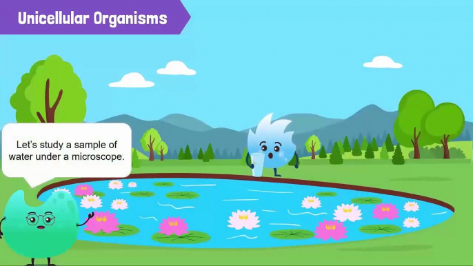 Cells, Unicellular Organisms, and Multicellular Organisms