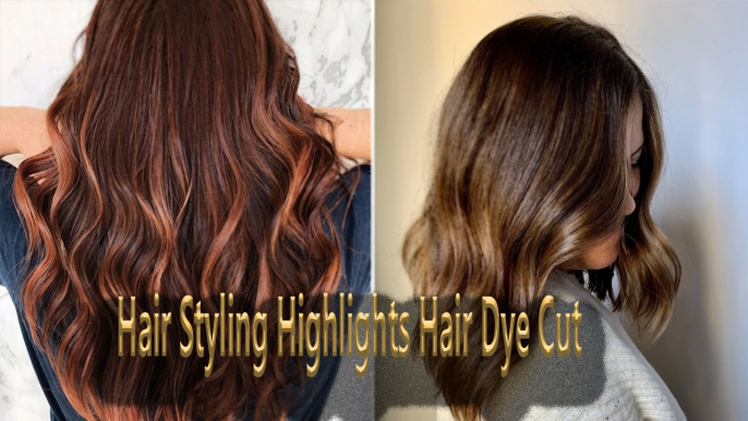 Hair Styling Highlights Hair Dye Cut | Fashion Zone