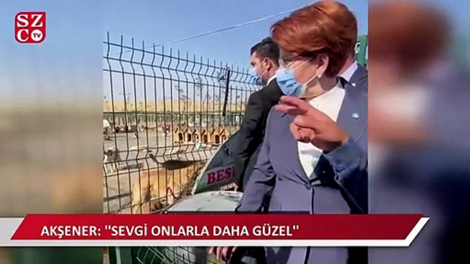 Akşener, Hayvanları Koruma Derneğini ziyaret etti: Sevgi, onlarla daha güzel