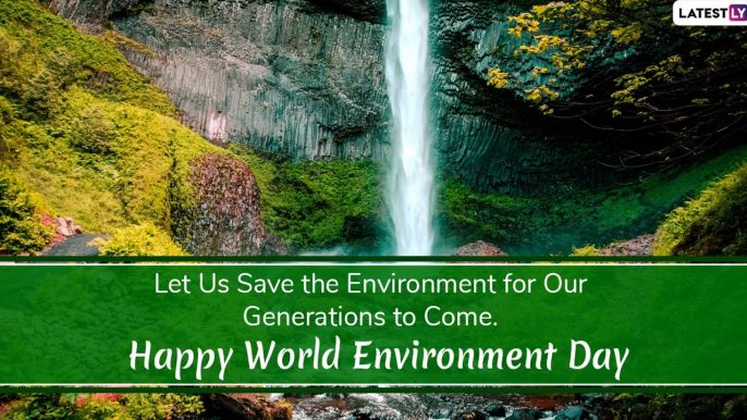 Happy World Environment Day 2020 Wishes: WhatsApp Messages, Slogans, Images to Wish Everyone on WED!