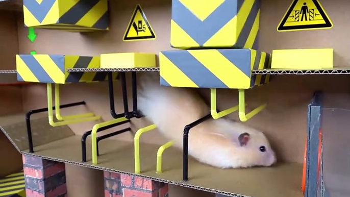 AWESOME HAMSTER MAZE with TRAPS