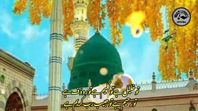 Jo na hota tera jmal hi lyrics | new rabi ul awal naat 2020 | rabi ul awal naat | naat | heart touching naat sharif 2020