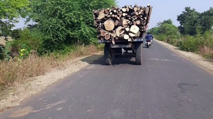 धड़ल्ले से सड़कों पर दौड़ रहे हैं हरे-भरे पेड़ों की कटाई की लकड़ी से भरे ट्रैक्टर ट्राली