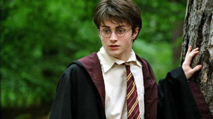 Stasera in tv, Harry Potter e la camera dei segreti: 5 curiosità sul film che non sapevate