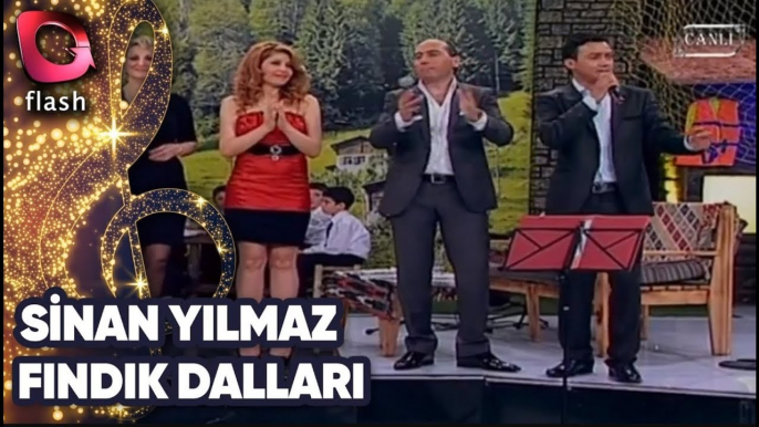 SİNAN YILMAZ | FINDIK DALLARI | FLASH TV MÜZİK