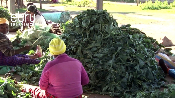 Naivasha Farmers Are Crying Foul Over The Sharp Drop In Vegetable Prices