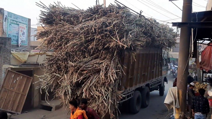 गन्नो से भरे ओवरलोड ट्रक दे रहे हादसों को न्यौता