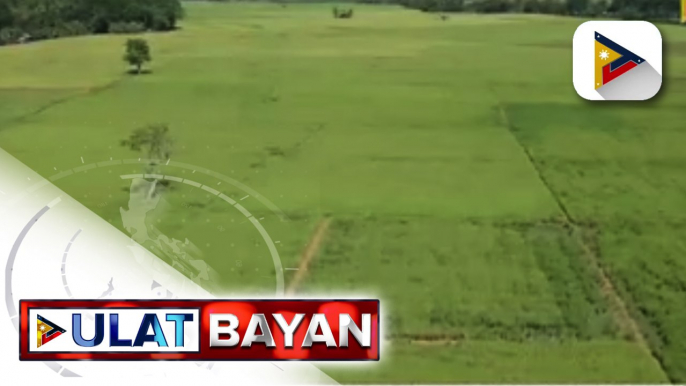 EXPRESS BALITA: Tatlong ektaryang lupain, ipagkakaloob ng pamahalaan sa kwalipikadong graduate ng agri-related courses; Kaso ng leptospirosis sa QC, bumaba ngayong taon; Higit 8-K sako ng bigas, naipamahagi sa mga nasalanta ng bagyo sa Parañaque