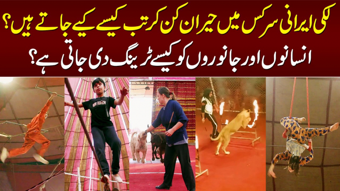 Wo Pakistani Jiske Isharay Per 12 Sher Thamasha Dekhte Hain - Watch Interesting Lucky Irani Circus