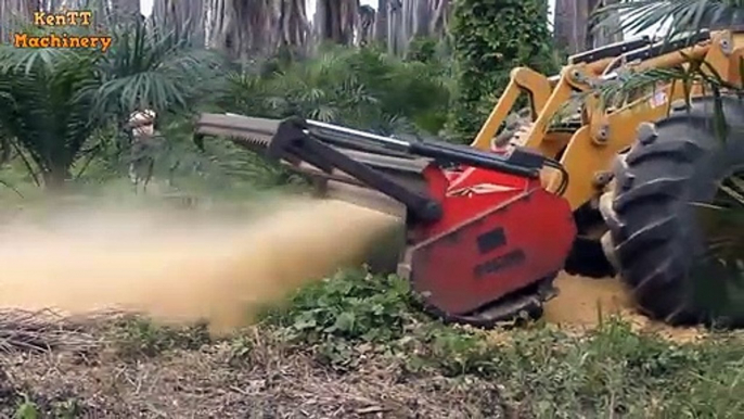 Dangerous Fast Destroy Big Tree Machine Working - Extreme Equipment Excavator Cutting Tree Machine