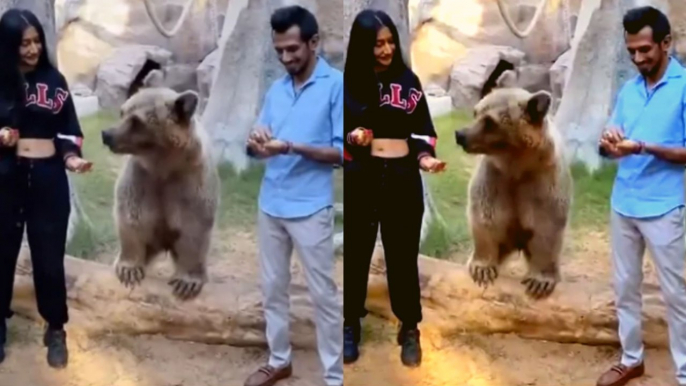 Yuzvendra Chahal Dhanashree Verma HONEYMOON VIDEO VIRAL | Boldsky