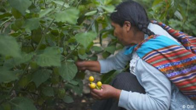 Peru: Empowering mountain communities