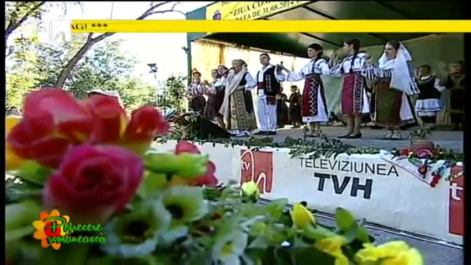 Elena Ionescu Cojocaru - Spectacol ziua comunei Independanta, judetul Calarasi - 31.08.2014