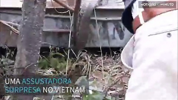 Monstruosa serpente é capturada no Vietnam