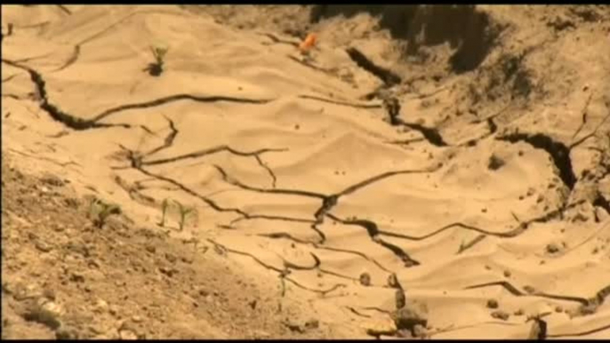 Cada vez más empresas se suman al compromiso de funcionar libres de emisiones contaminantes