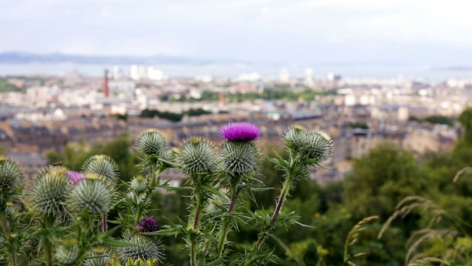 Scotland 4K Resolution | Relaxing Sleep Music for Stress Relief, Virtual Nature Walk