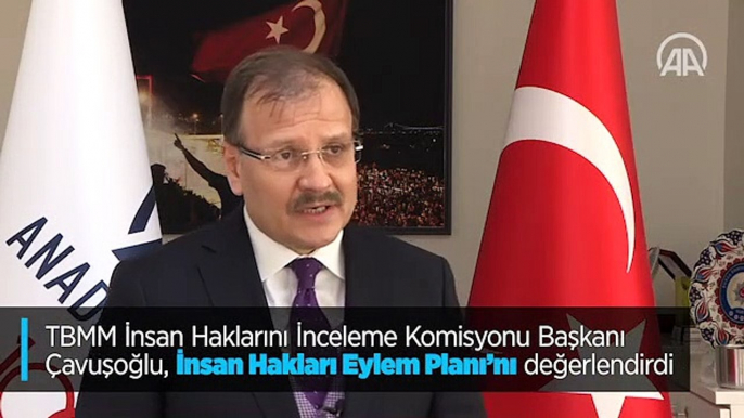 TBMM İnsan Haklarını İnceleme Komisyonu Başkanı Çavuşoğlu, İnsan Hakları Eylem Planı'nı değerlendirdi