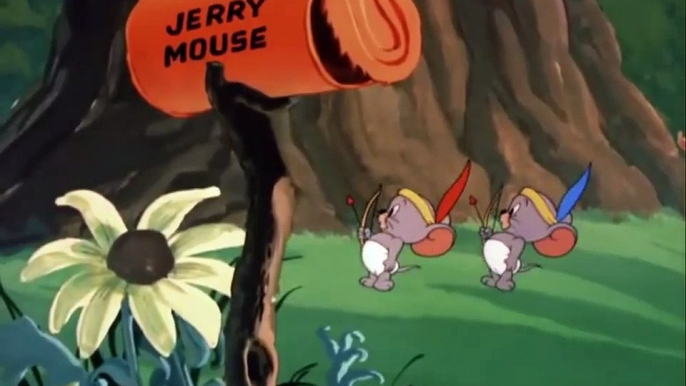 TomandJerry Show | Tom and Jeery Cartoon Video | Fun videos | Cartoon network | FF media