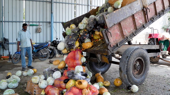 How this market turns 10 tons of food waste into energy every day