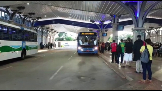 Ônibus do transporte coletivo voltam a rodar nesta segunda-feira