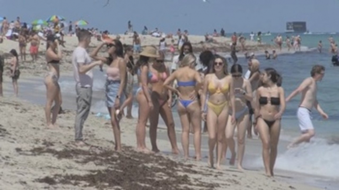 Más de 100 detenidos por "spring break" que tiene a Miami Beach en alerta