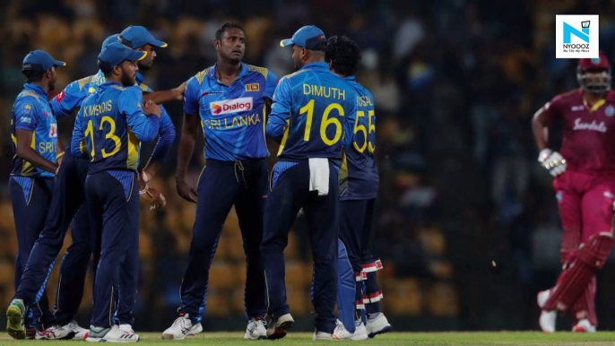 Watch: Bees attack halts play briefly during West Indies vs Sri Lanka 3rd ODI