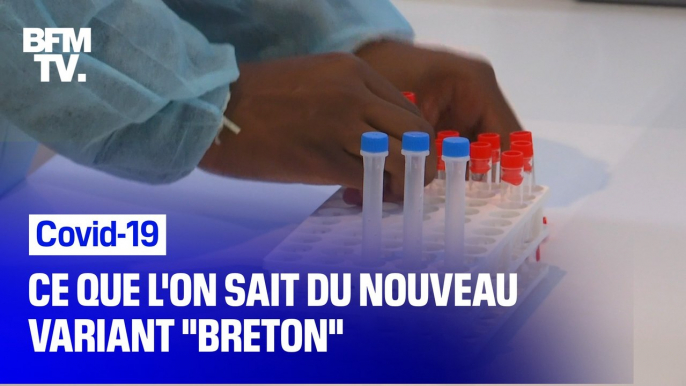 Variant "breton": 3 questions au chef du service des maladies infectieuses du CHU de Rennes