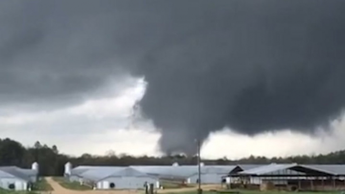 Tornadoes and heavy rains strike the Southeast