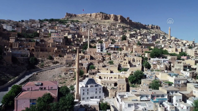 MARDİN - Üniversite öğrencisi su ve mama kaplarına yazdığı notlarla sokak hayvanları için farkındalık oluşturuyor