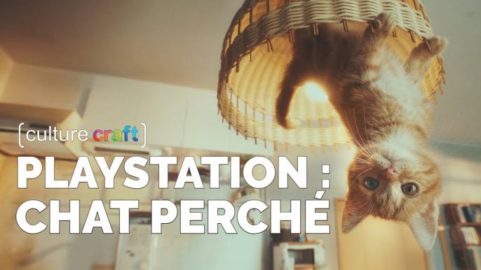 PlayStation : Chat Perché - Culture Craft