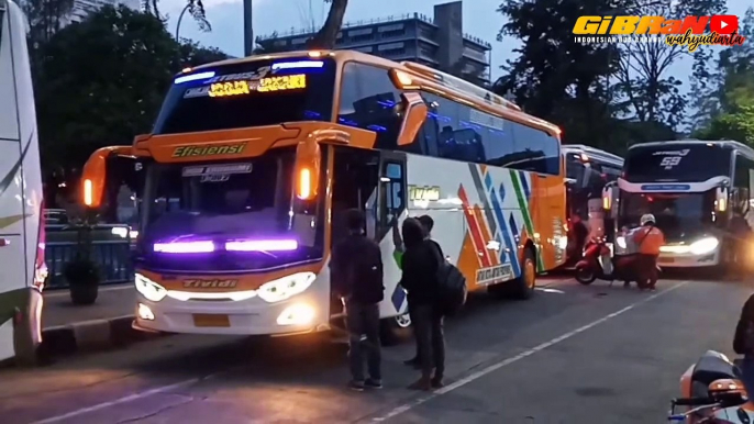 [Kejutan Lagi]Bus Banter Tim Pekalongan Po Haryanto Hercules Hr 199 Capolista Roling Grogol❗