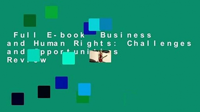 Full E-book  Business and Human Rights: Challenges and Opportunities  Review