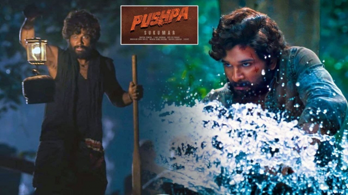 Pushpa Action Scenes Visual Treet, సుక్కు మార్క్ ట్విస్ట్ | Allu Arjun || Filmibeat Telugu